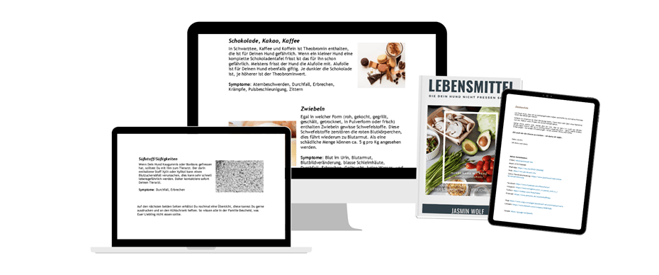 giftige und tödliche Lebensmittel für Hunde