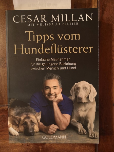 Tipps vom Hundeflüsterer